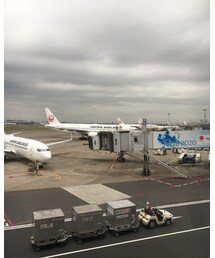 羽田空港❣️ | その他