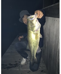 53cm🎣 | 雑貨/ホビー