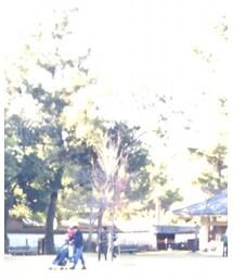 ZARA | ダウンジャケット/コート