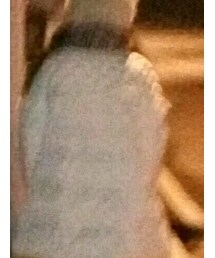 DAZZLE | ジャケット/アウター