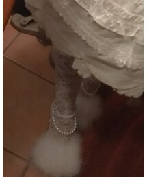 ALICE and the PIRATES | ソックス/靴下