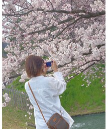 弘前公園の桜は最高🌸 | その他