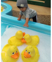 アヒルさん遊びに夢中❤ | その他
