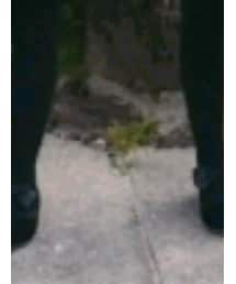 apres les cours | その他シューズ