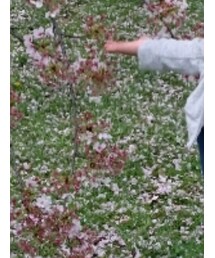 OLD NAVY | Tシャツ/カットソー