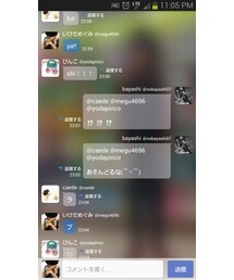 bayashiさんブーム到来！！ | ペットウェア