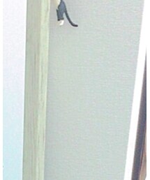 CONVERSE | キャップ