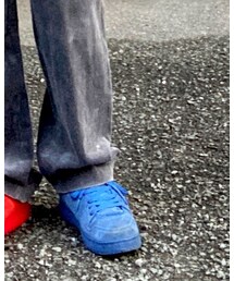 DC SHOES | スニーカー