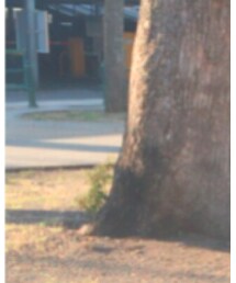 SHELTER SPORT | バックパック/リュック