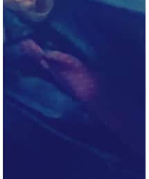 CHANEL | ネクタイ