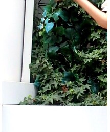 EVRIS | その他パンツ