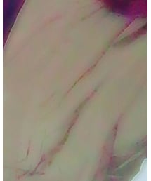 メルカリ | ブルゾン