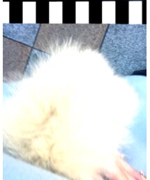 no brand | ファッション雑貨