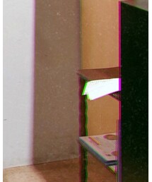 なんかの毛皮的な | バッグ