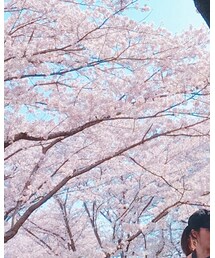 さくら | その他