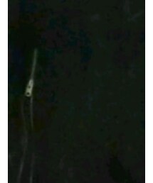 CIVARIZE | スカート