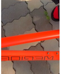 MERIDA | その他