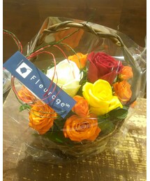 その他 | その他