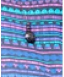 UNKNOWN. | ネックレス