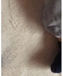 POLO | ソックス/靴下