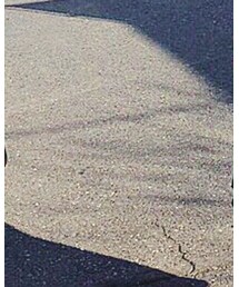 卒業式 | その他