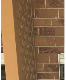 友達と、ランチ | その他