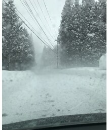 雪ヤバイ | その他