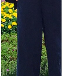 JOURNAL STANDARD relume | パンツ