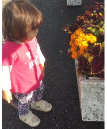 zutano | Tシャツ/カットソー