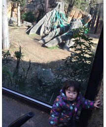 韓国子供服 | スカート