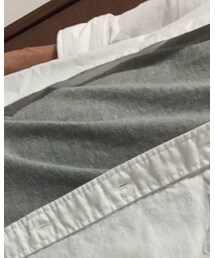 Hollister | Tシャツ/カットソー
