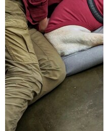 Timberland | その他パンツ