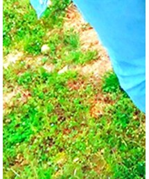 ペアルック | その他