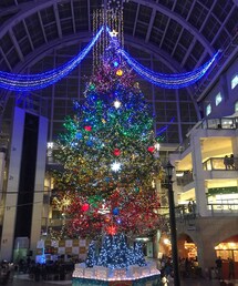 イルミネーション | きれいだったイルミネーション！(照明)