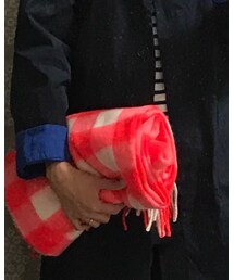 FLYING TIGERS | マフラー