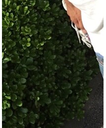 Quiksilver | Tシャツ/カットソー