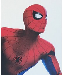 スパイダーマン | その他