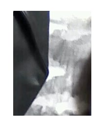 AYUITE | Tシャツ/カットソー