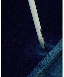 Rodeo Crowns | ポロシャツ