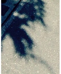 BEAMS | その他パンツ