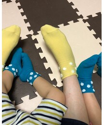靴下屋 | ソックス/靴下