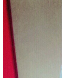 Johnbull | シャツ/ブラウス