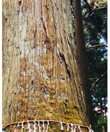 田舎の醍醐味 | その他