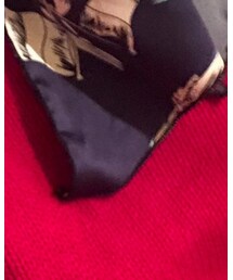 CA憧れてるバスガイド | その他