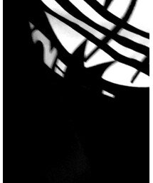 adidas Originals | パーカー