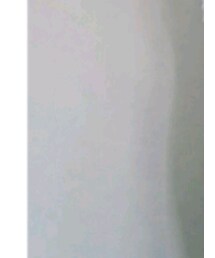 no brand | Tシャツ/カットソー