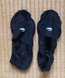LACOSTE | 長嶋で買った(ソックス/靴下)