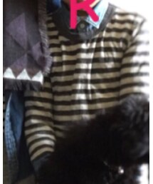 DENIM DUNGAREE | シャツ/ブラウス