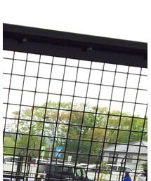 Ray-Ban | サングラス