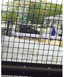 BELAFONTE | Tシャツ/カットソー